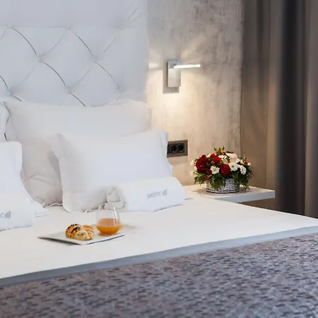 Marina Baotic * 트로기르